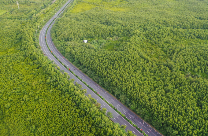 Cung đường Rừng Sác tháng 3/2026. Ảnh: Thanh Tùng