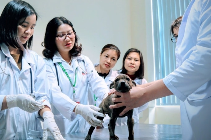 GS.TS Nguyễn Thị Lan, Giám đốc Học viện Nông nghiệp Việt Nam (thứ hai từ trái sang). Ảnh: Học viện Nông nghiệp Việt Nam