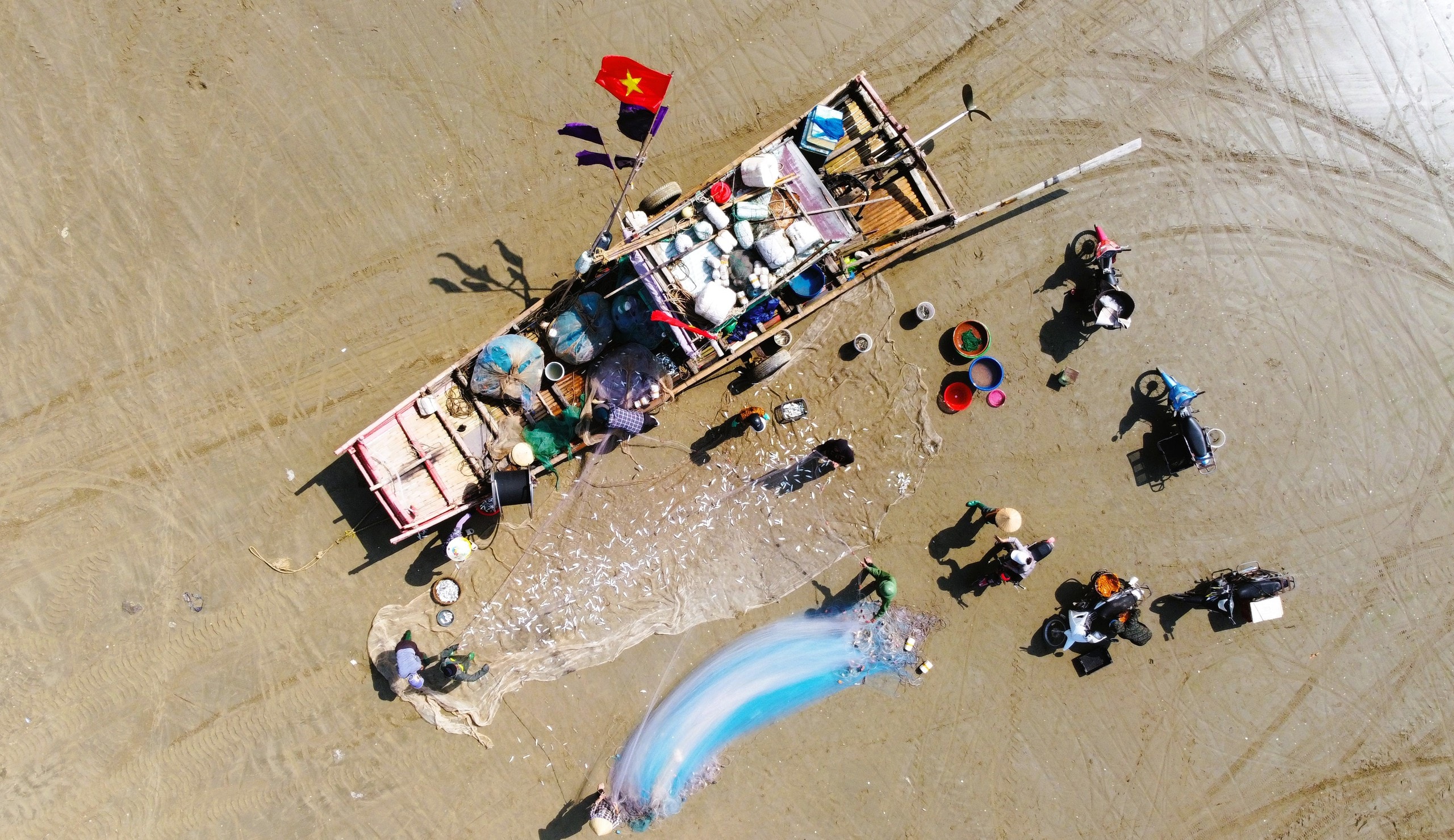 Ngư dân Thanh Hóa kiếm tiền triệu mỗi ngày mùa cá trích - Ảnh 12.