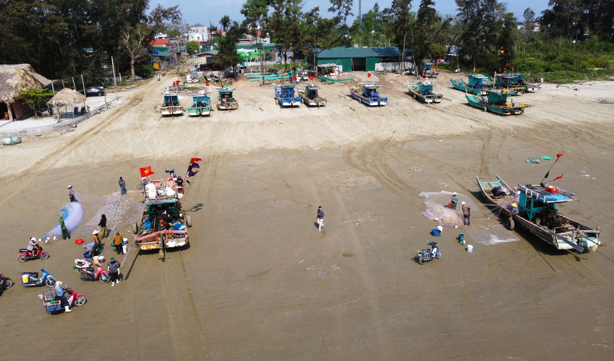 Ngư dân Thanh Hóa kiếm tiền triệu mỗi ngày mùa cá trích - Ảnh 13.