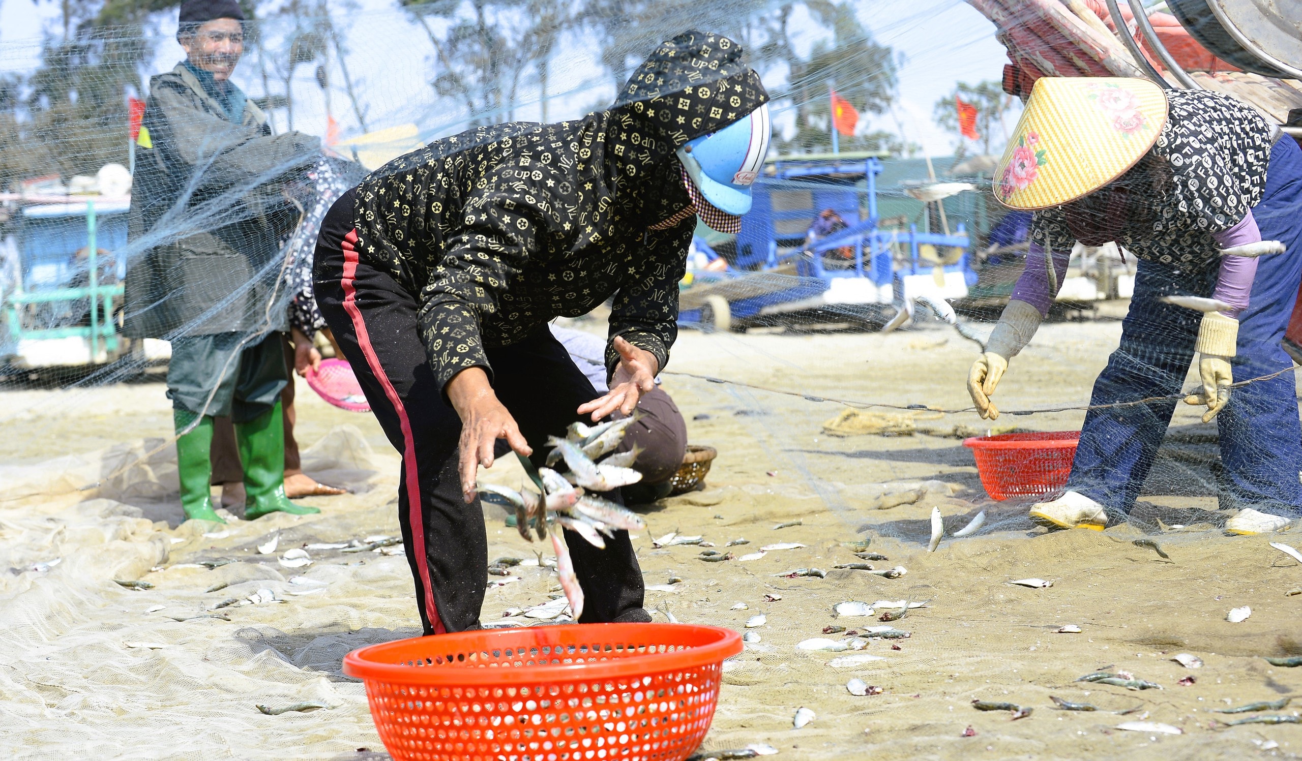 Ngư dân Thanh Hóa kiếm tiền triệu mỗi ngày mùa cá trích - Ảnh 10.