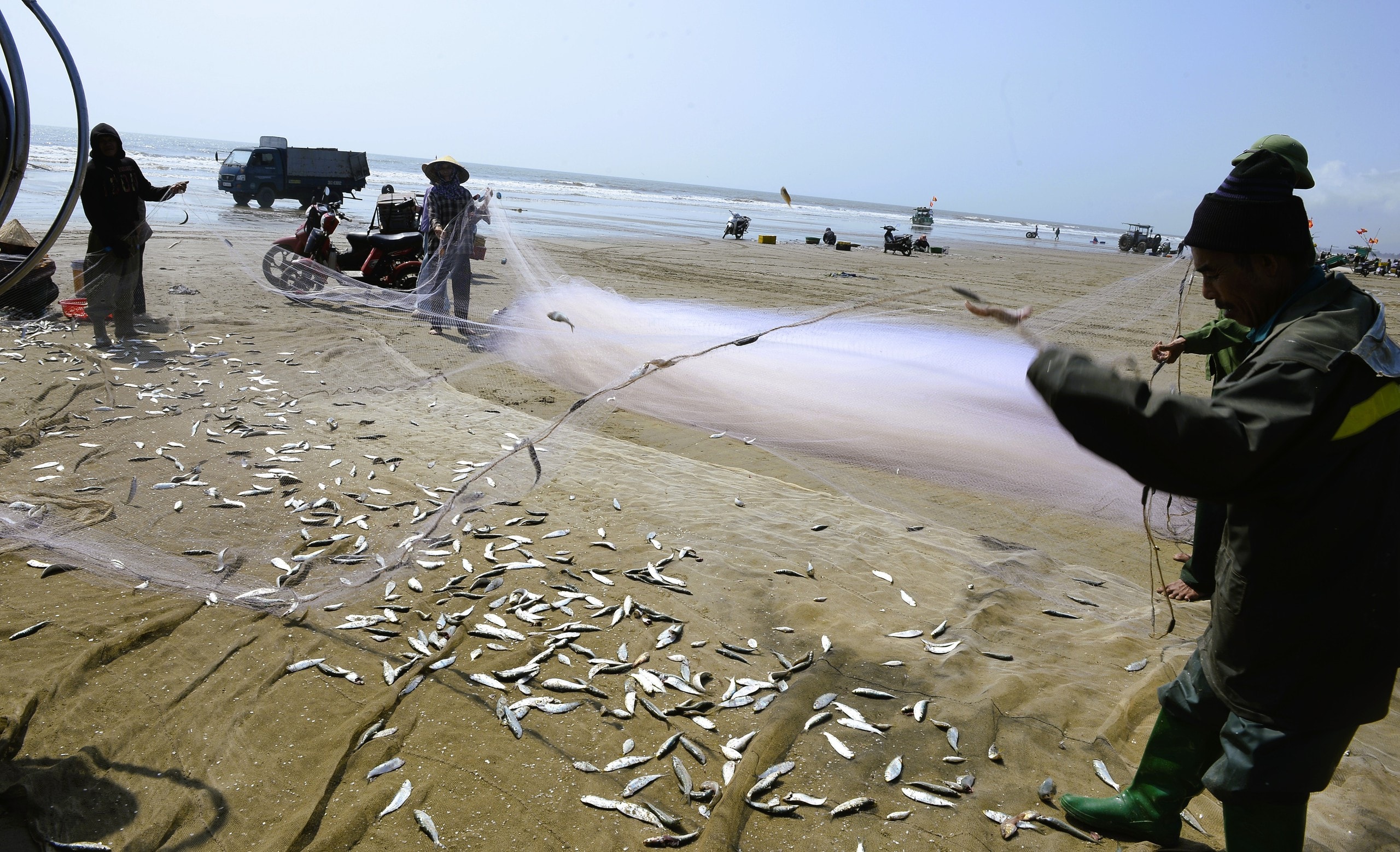 Ngư dân Thanh Hóa kiếm tiền triệu mỗi ngày mùa cá trích - Ảnh 7.