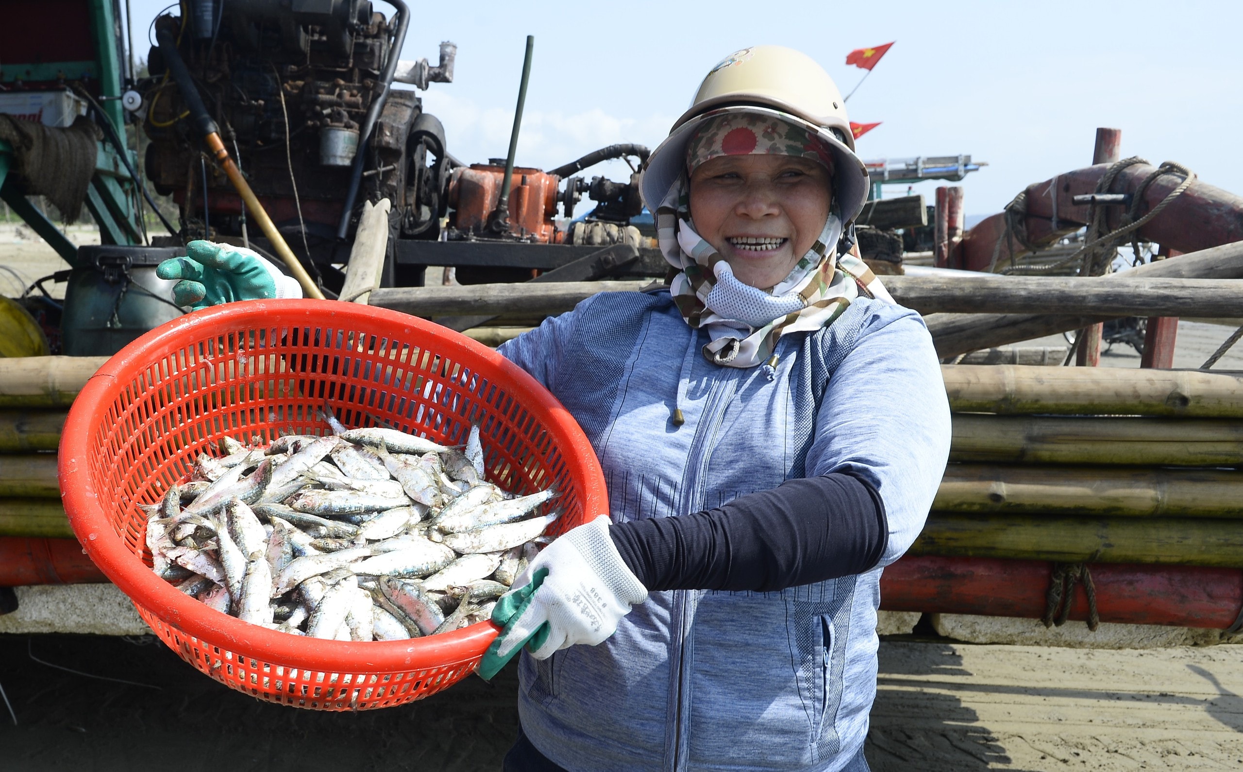 Ngư dân Thanh Hóa kiếm tiền triệu mỗi ngày mùa cá trích - Ảnh 1.