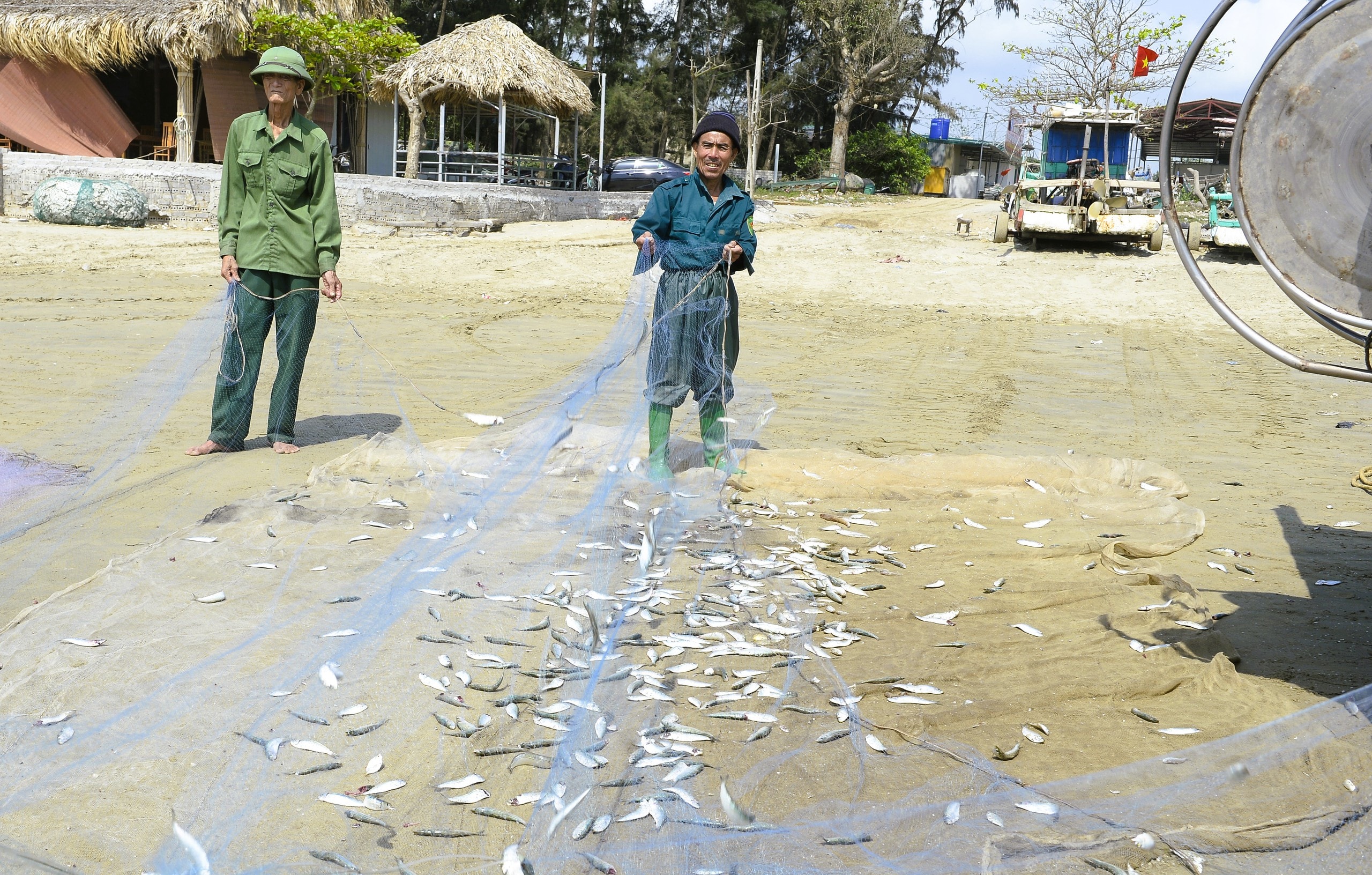 Ngư dân Thanh Hóa kiếm tiền triệu mỗi ngày mùa cá trích - Ảnh 3.
