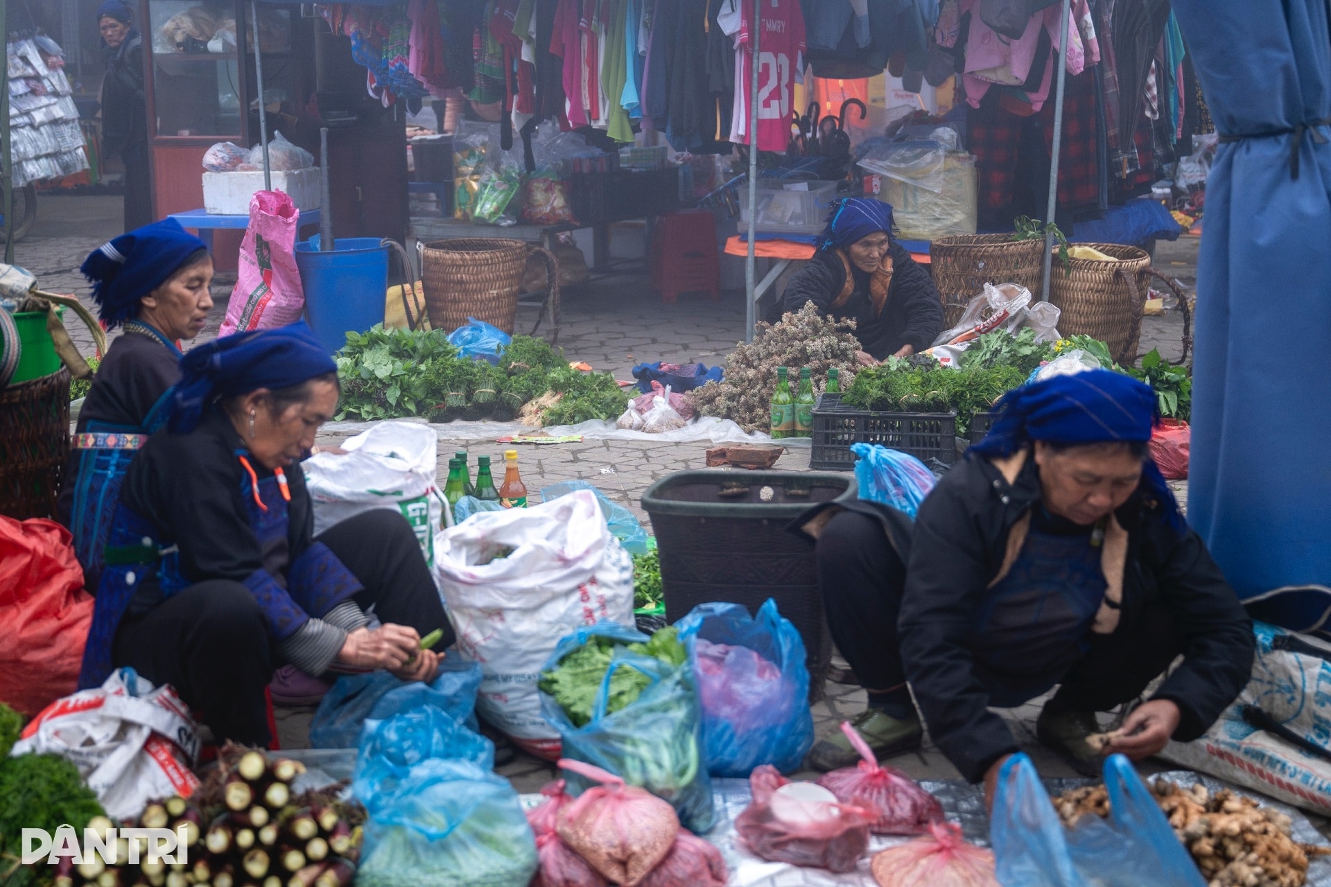 Chợ phiên ở độ cao 2.000m nhộn nhịp tiếng gà, tiếng lợn giữa núi rừng - 3