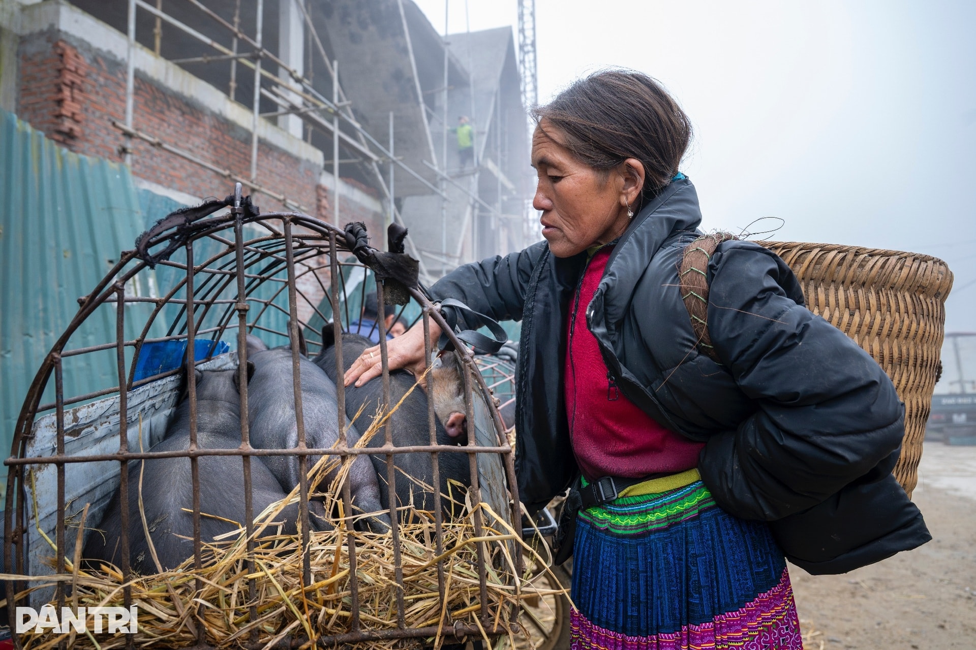 Chợ phiên ở độ cao 2.000m nhộn nhịp tiếng gà, tiếng lợn giữa núi rừng - 12