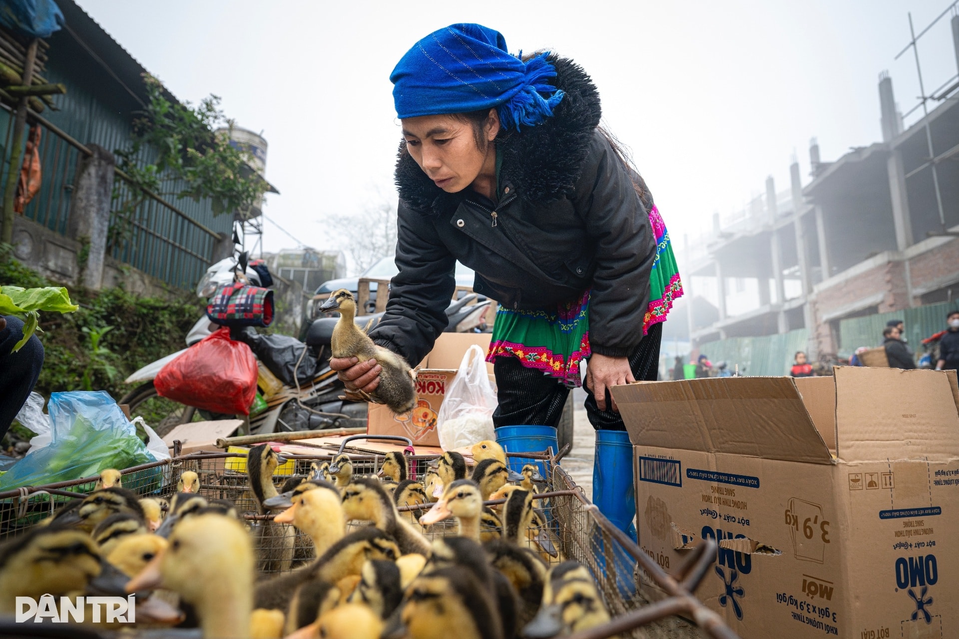 Chợ phiên ở độ cao 2.000m nhộn nhịp tiếng gà, tiếng lợn giữa núi rừng - 14