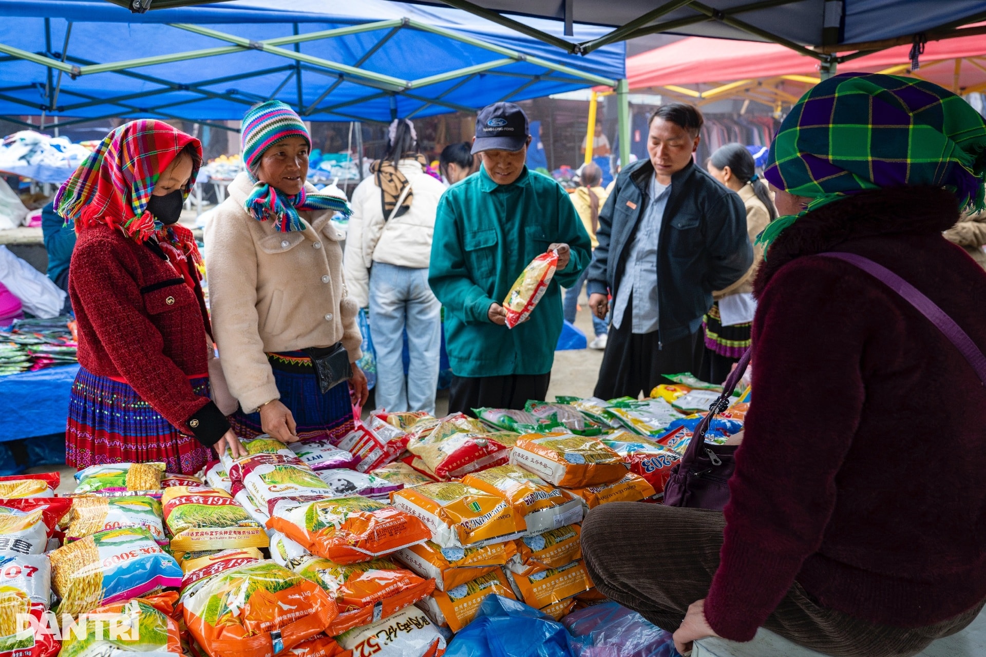 Chợ phiên ở độ cao 2.000m nhộn nhịp tiếng gà, tiếng lợn giữa núi rừng - 7