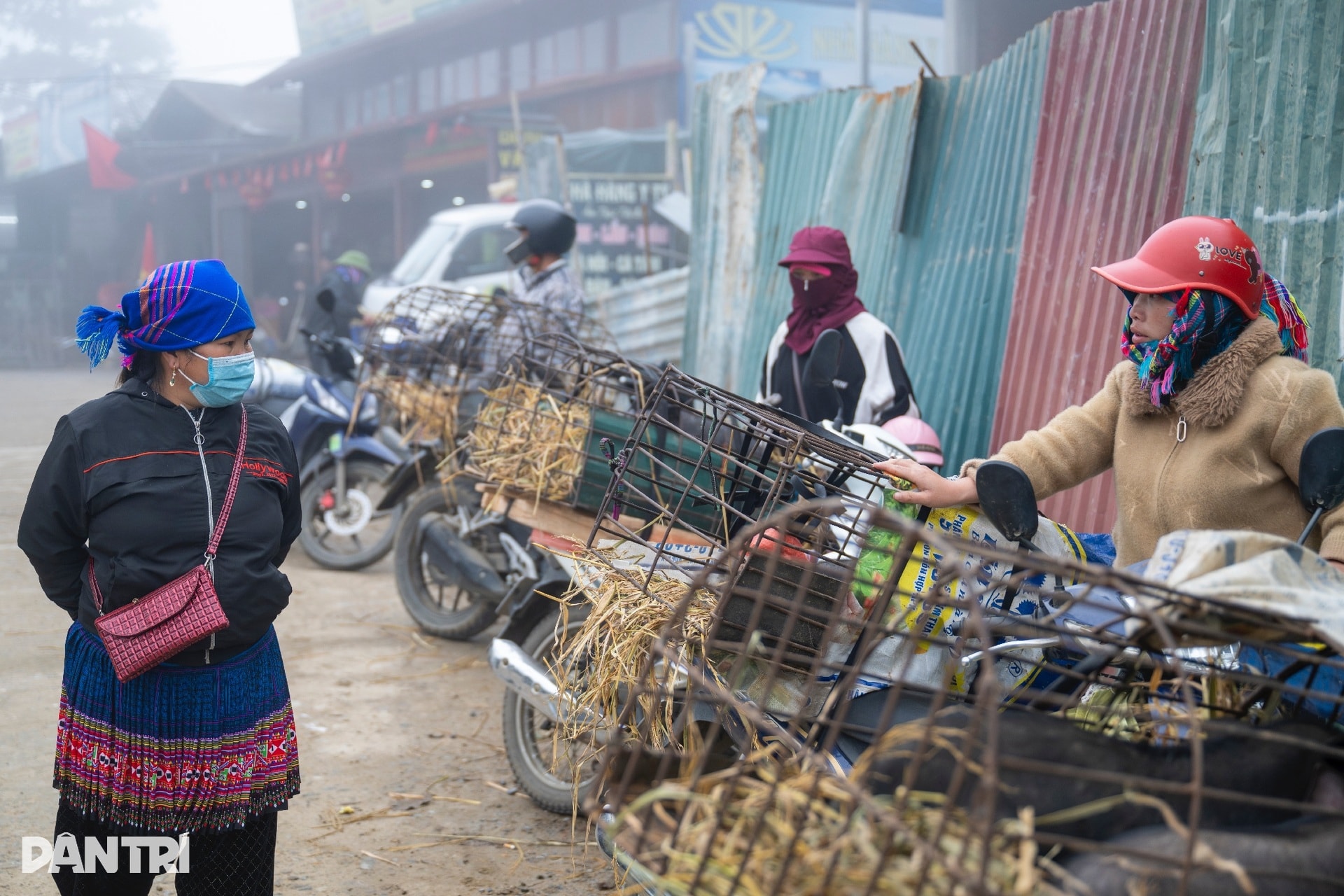 Chợ phiên ở độ cao 2.000m nhộn nhịp tiếng gà, tiếng lợn giữa núi rừng - 10