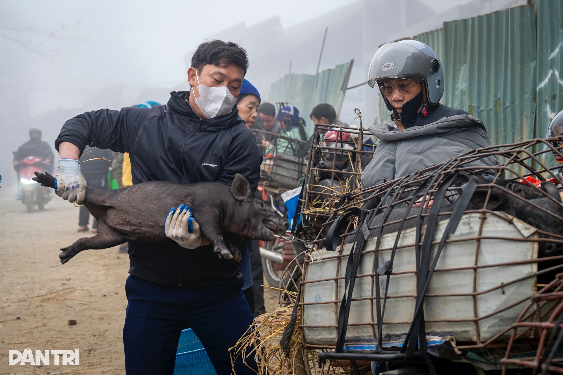 Chợ phiên ở độ cao 2.000m nhộn nhịp tiếng gà, tiếng lợn giữa núi rừng - 11