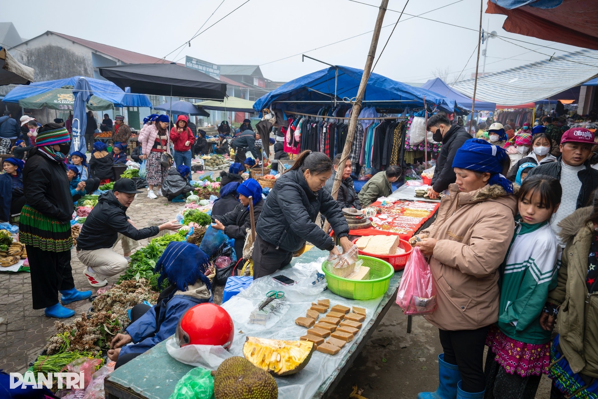 Chợ phiên ở độ cao 2.000m nhộn nhịp tiếng gà, tiếng lợn giữa núi rừng - 2