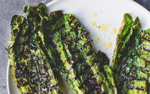 Một con chó nghi dại tấn công liên tiếp 6 người tại Đắk Lắk, cách ly hơn 200 vật nuôi - Ảnh 2.