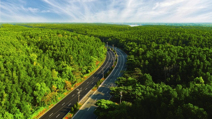 Hệ sinh thái có một không hai tại Cần Giờ