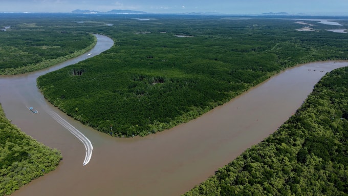 Hệ thống sông bao quanh khu dự trữ sinh quyển Cần Giờ. Ảnh: Thanh Tùng