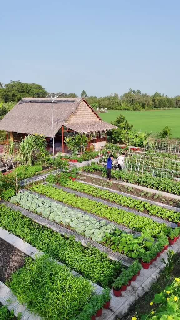 Khu vườn 3.000 m2 đẹp như tranh của cặp vợ chồng bỏ phố về quê