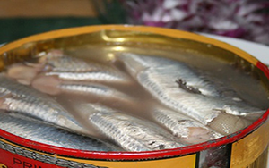 Một con chó nghi dại tấn công liên tiếp 6 người tại Đắk Lắk, cách ly hơn 200 vật nuôi - Ảnh 3.