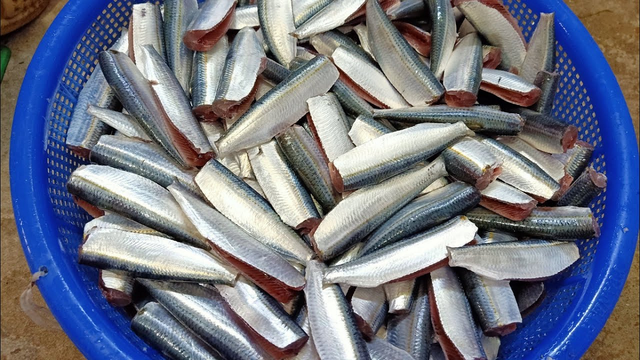 2 loại cá ít "ngậm" thủy ngân nhất, đứng đầu bảng mâm cơm nhà nào cũng có- Ảnh 2.