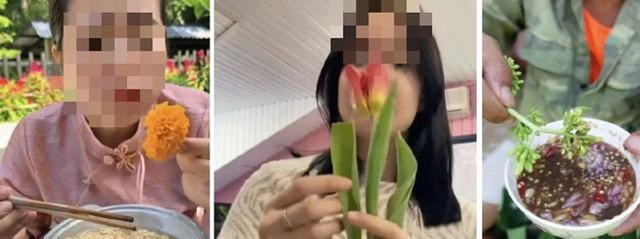 Trào lưu ẩm thực “ăn hoa như ăn rau”: Bác sĩ chỉ ra những tác hại khó lường- Ảnh 1. Trào lưu ẩm thực “ăn hoa như ăn rau”: Bác sĩ chỉ ra những tác hại khó lường- Ảnh 1.