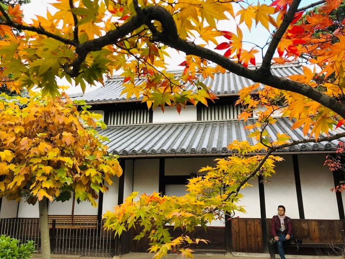 Bình yên Đông Kinh - Ảnh 2.