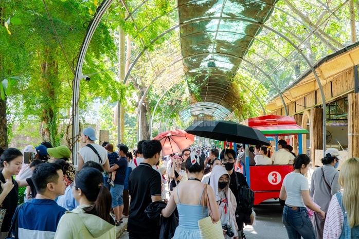 VIDEO: Lộ diện bé ngựa lùn Cacao trong dịp sinh nhật Thảo Cẩm Viên 162 tuổi - Ảnh 9.