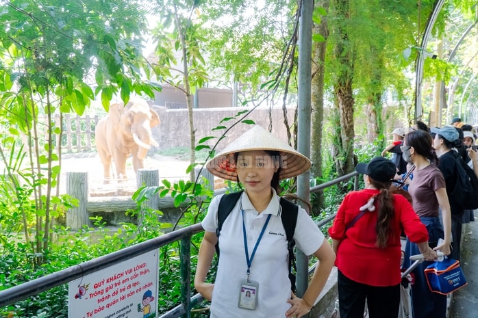 VIDEO: Lộ diện bé ngựa lùn Cacao trong dịp sinh nhật Thảo Cẩm Viên 162 tuổi - Ảnh 13.