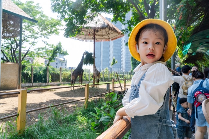 VIDEO: Lộ diện bé ngựa lùn Cacao trong dịp sinh nhật Thảo Cẩm Viên 162 tuổi - Ảnh 17.