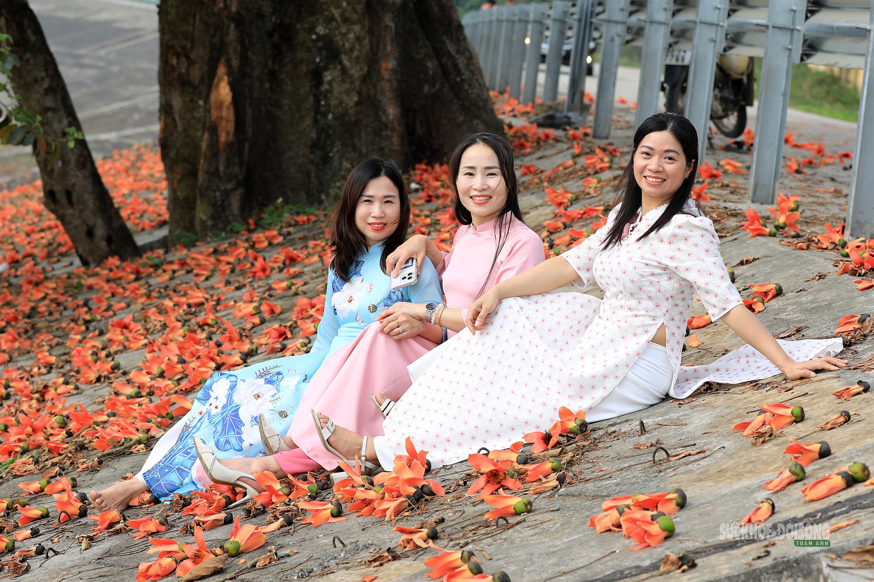 Sắc đỏ hoa gạo nhuộm thắm triền sông- Ảnh 7.