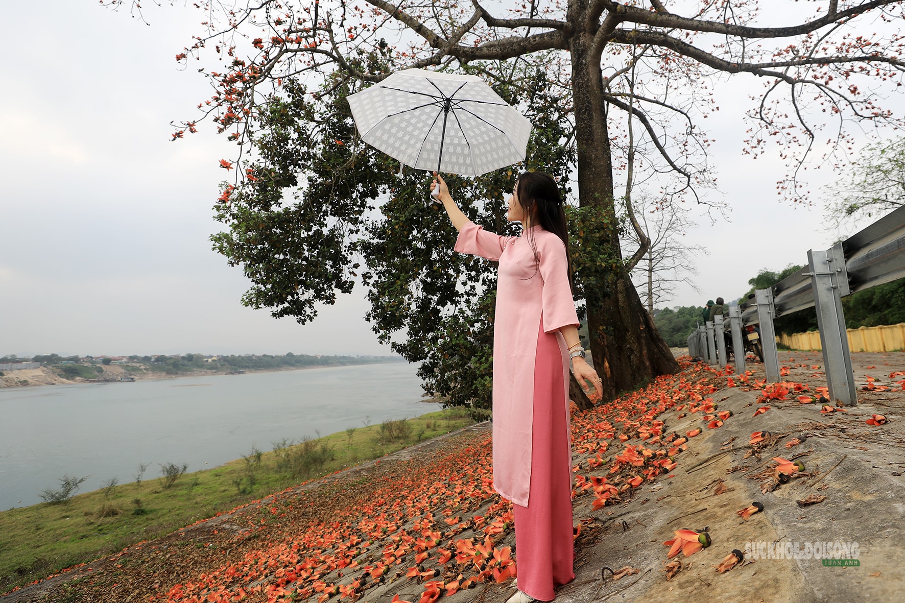 Sắc đỏ hoa gạo nhuộm thắm triền sông- Ảnh 3.