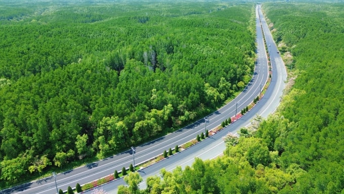 Cung đường Rừng Sác được bao quanh bởi rừng ngập mặn phù hợp cho các hoạt động thể thao ngoài trời. Ảnh: Kha Thiên Lộc