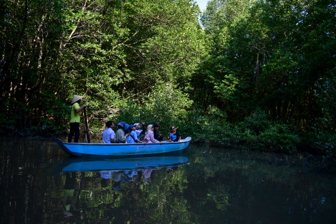 Du khách tham quan rừng Sác. Ảnh: Thanh Tùng