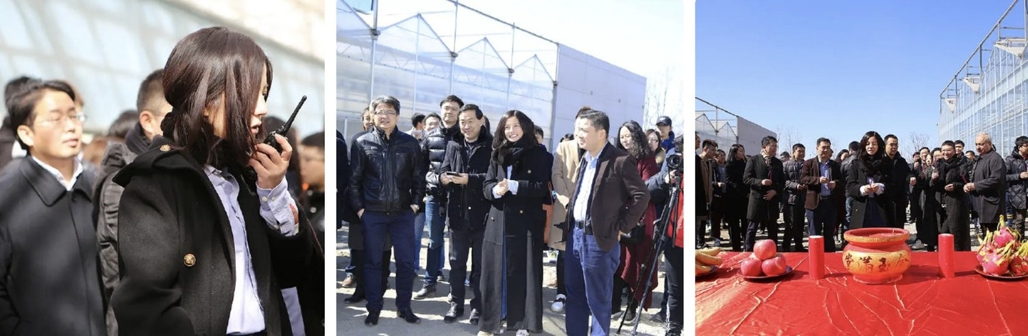 Triệu Vy ảnh 4 Trieu Vy anh 4