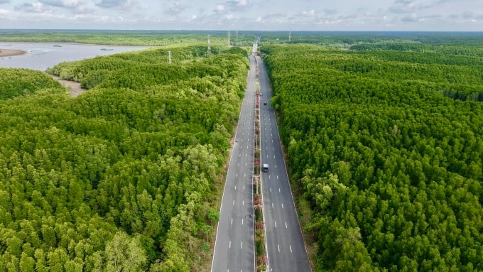 Một góc đường rừng Sác với nhiều mảng xanh. Ảnh: Thanh Tùng