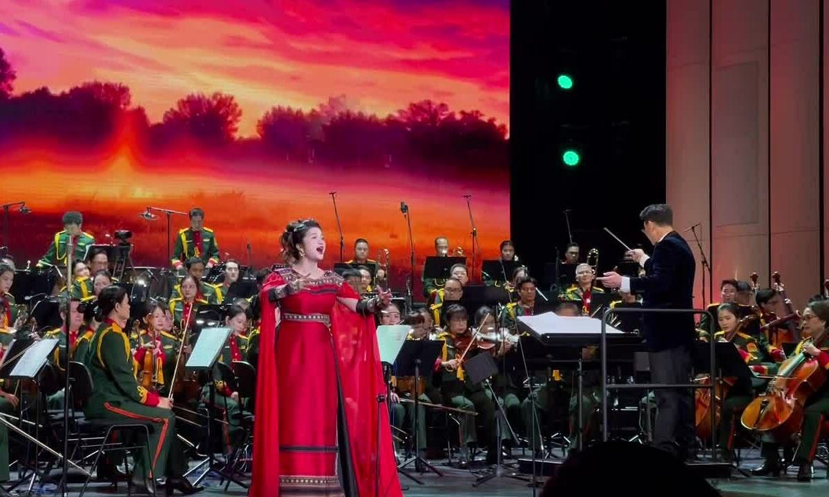 Đỗ Tố Hoa biểu diễn trong đêm nhạc 'Thanh âm dưới ánh mặt trời;