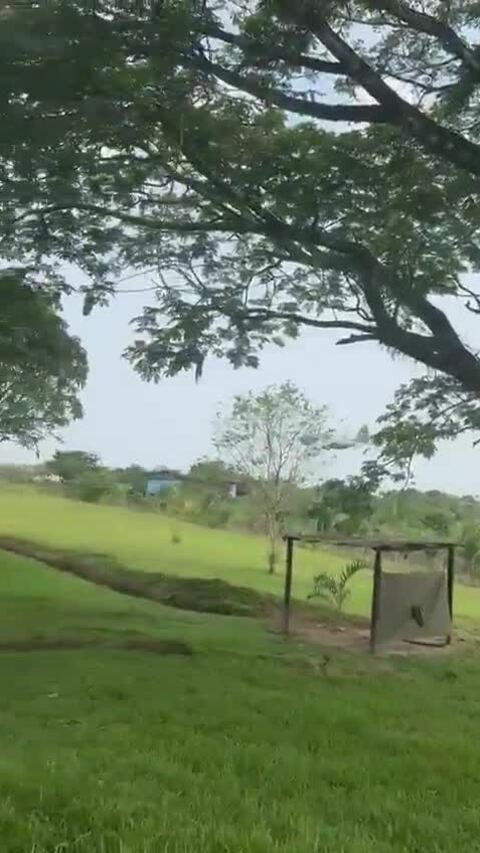 Máy bay quân sự Colombia rơi khi cất cánh, ít nhất một người chết