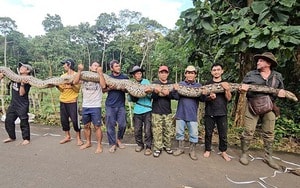 Nhìn lên trần nhà, người đàn ông sốc nặng thấy cảnh tượng "nổi da gà" - Ảnh 3.