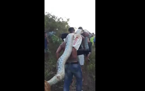 Nhìn lên trần nhà, người đàn ông sốc nặng thấy cảnh tượng "nổi da gà" - Ảnh 2.