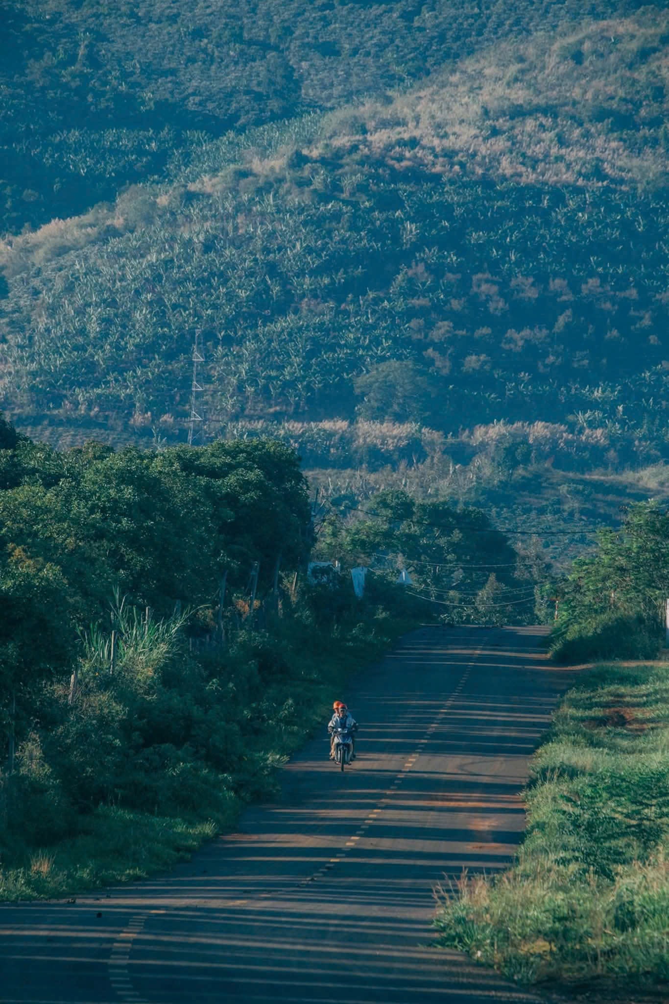 Ly đen không đá kéo tôi về với những thói quen - Ảnh 4.
