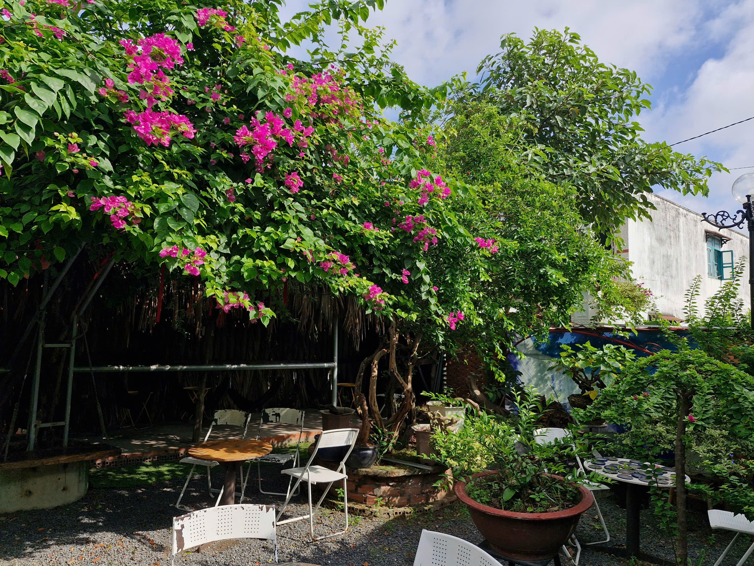 Quán cà phê ta hẹn... - Ảnh 1.