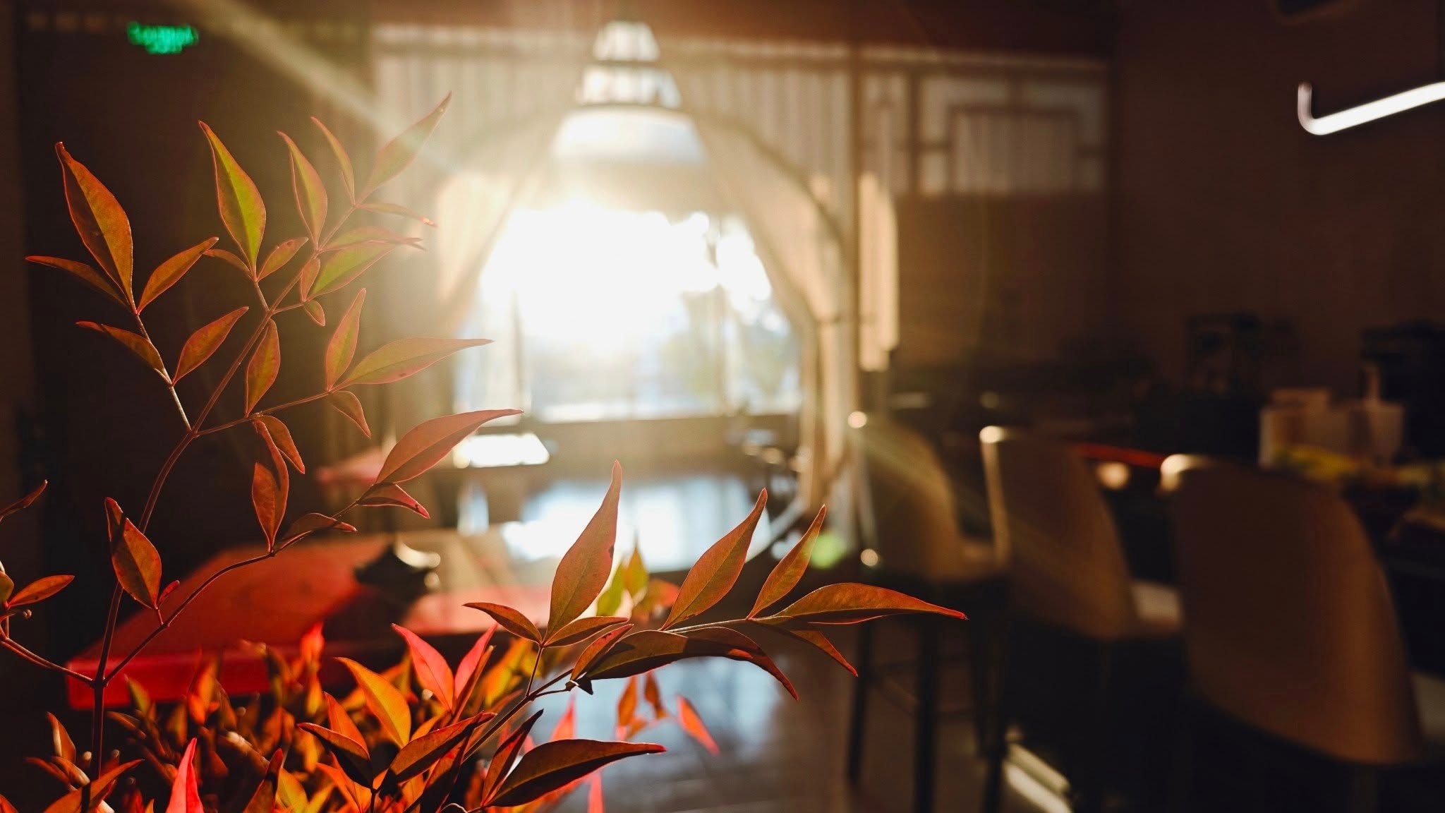 Chiếc cối xay cà phê và chén trà "động" của anh chàng 9X điển trai - Ảnh 11.