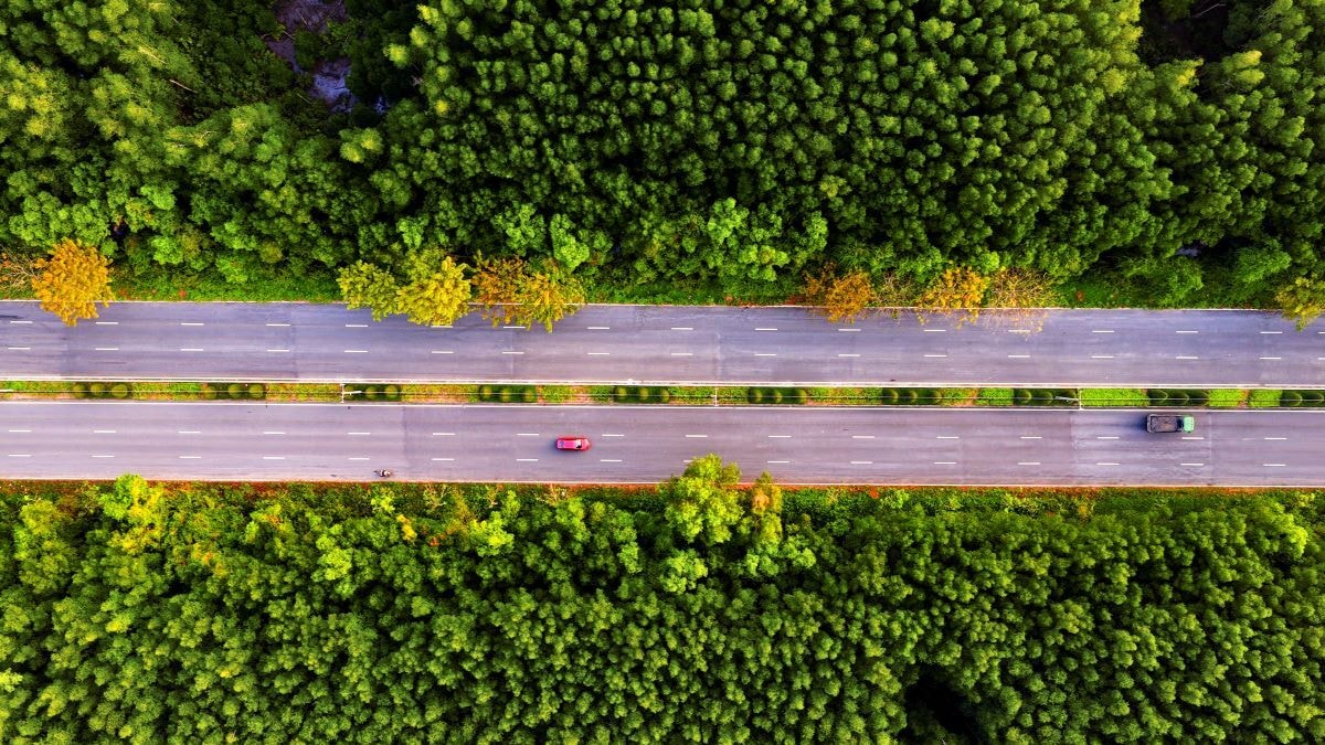 Cần Giờ mang đến cung đường chạy xanh nhất trong hệ thống giải Vnexpress Marathon.