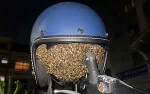 Nữ đại gia U60 yêu sinh viên 26 tuổi, tặng gần 200 tỷ đồng gây xôn xao - Ảnh 3.