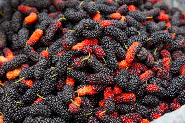 Đừng chỉ ăn quả, lá cây này quý như "nhân sâm của người nghèo", đang vào mùa đi chợ là thấy - Ảnh 3.