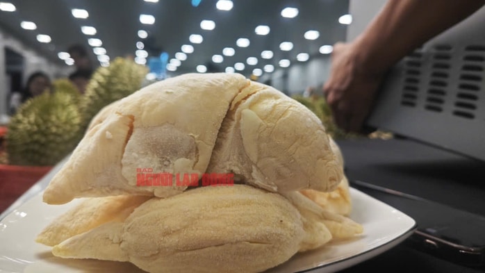 Sầu riêng Ri 6 Việt Nam dẫn đầu thị trường châu Á tại Mỹ 2026 - Ảnh 3. Sầu riêng Ri 6 Việt Nam dẫn đầu thị trường châu Á tại Mỹ 2026 - Ảnh 3.