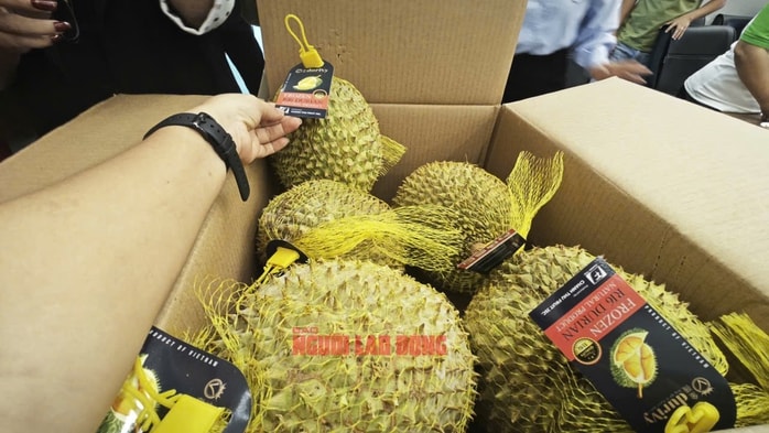 Sầu riêng Ri 6 Việt Nam dẫn đầu thị trường châu Á tại Mỹ 2026 - Ảnh 4. Sầu riêng Ri 6 Việt Nam dẫn đầu thị trường châu Á tại Mỹ 2026 - Ảnh 4.