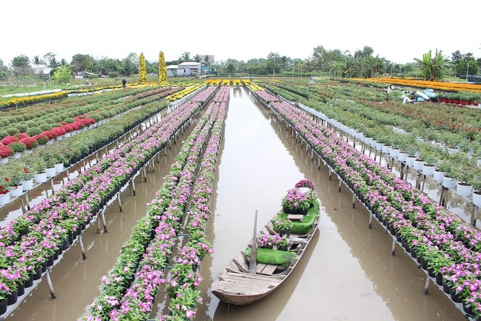 Ngành du lịch Đồng Tháp tăng trưởng ngoạn mục trong năm 2026 - Ảnh 2. Ngành du lịch Đồng Tháp tăng trưởng ngoạn mục trong năm 2026 - Ảnh 2.