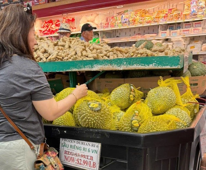 Sầu riêng Ri 6 Việt Nam dẫn đầu thị trường châu Á tại Mỹ 2026 - Ảnh 2. Sầu riêng Ri 6 Việt Nam dẫn đầu thị trường châu Á tại Mỹ 2026 - Ảnh 2.