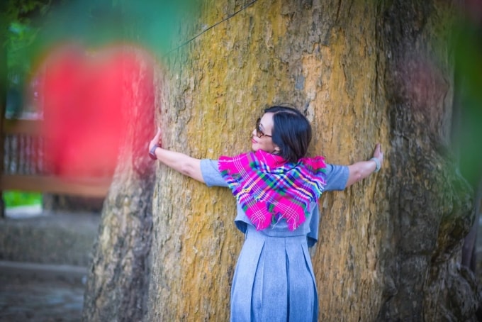 Cây đại thụ ở Nậm Nghiệp giúp du khách  - 1