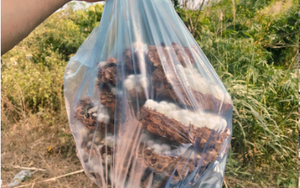 Con đặc sản nhìn "sợ phát khóc" ở Tây Bắc xưa không ai ngó, nay thành món lạ, dân nhậu mê tít săn lùng - Ảnh 7.