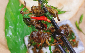 Con đặc sản nhìn "sợ phát khóc" ở Tây Bắc xưa không ai ngó, nay thành món lạ, dân nhậu mê tít săn lùng - Ảnh 6.