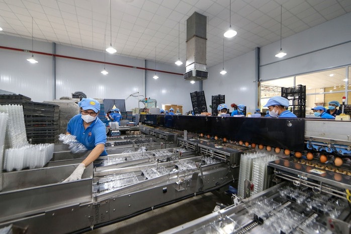 Doanh nghiệp xoay xở ra sao trước sức ép chi phí? (*): Chủ động tái cấu trúc - Ảnh 2.